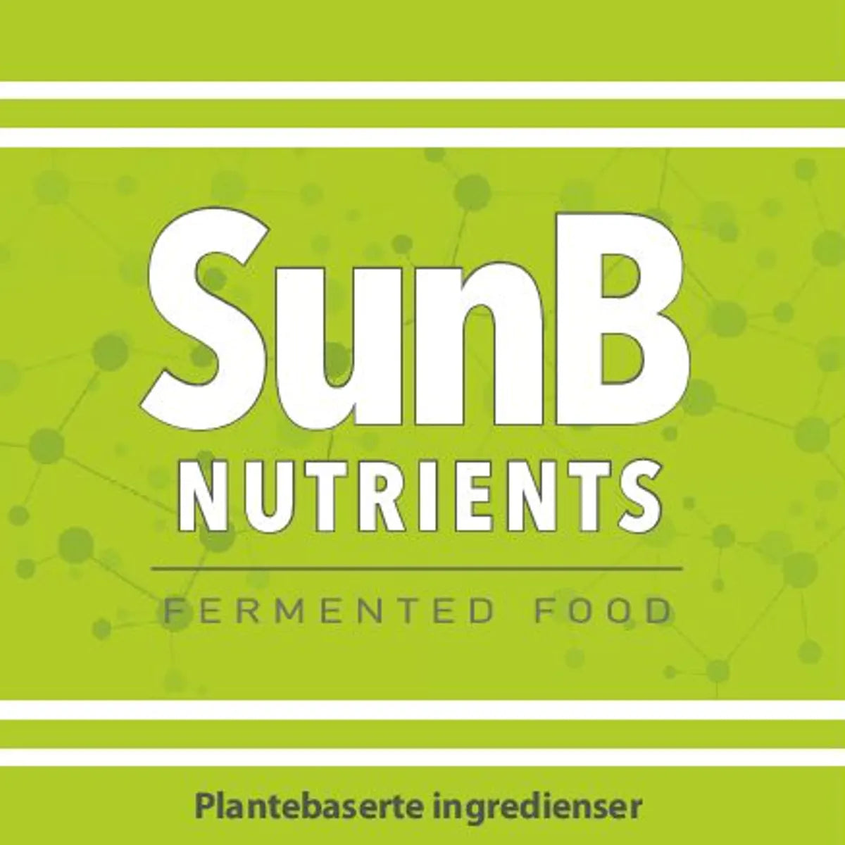 Universal Biology SunB Nutrients Paste 120g